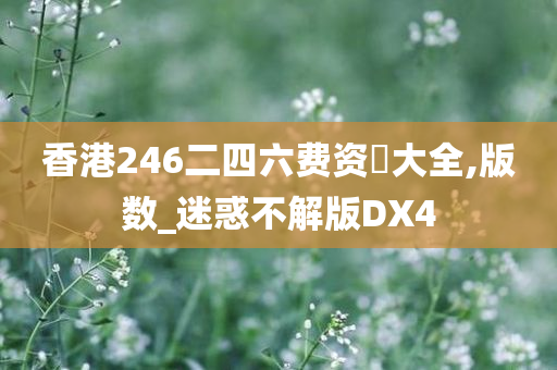 香港246二四六费资枓大全,版数_迷惑不解版DX4