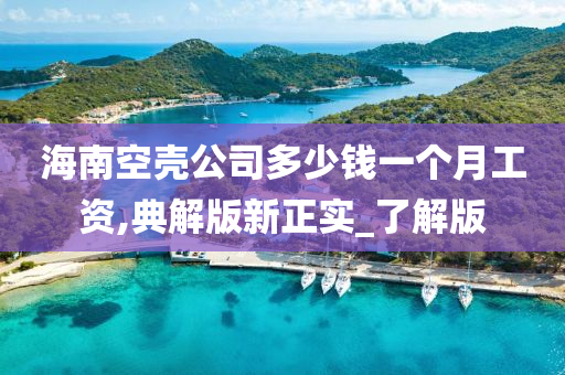 海南空壳公司多少钱一个月工资,典解版新正实_了解版