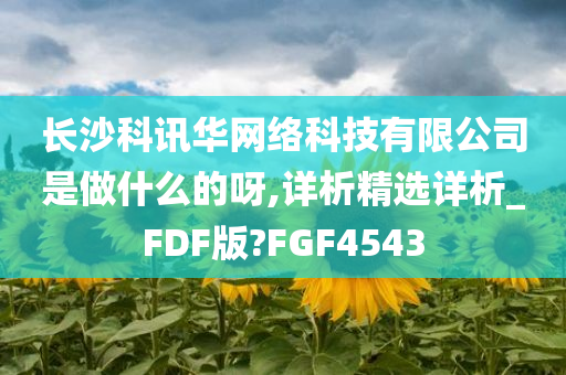 长沙科讯华网络科技有限公司是做什么的呀,详析精选详析_FDF版?FGF4543