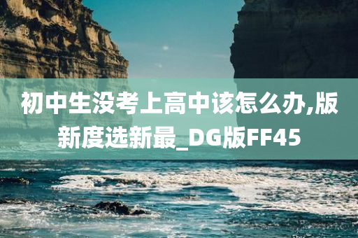 初中生没考上高中该怎么办,版新度选新最_DG版FF45