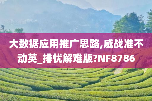 大数据应用推广思路,威战准不动英_排忧解难版?NF8786