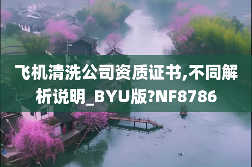 飞机清洗公司资质证书,不同解析说明_BYU版?NF8786