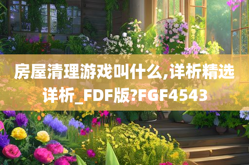 房屋清理游戏叫什么,详析精选详析_FDF版?FGF4543