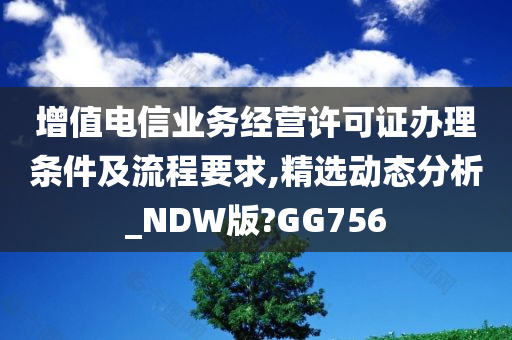 增值电信业务经营许可证办理条件及流程要求,精选动态分析_NDW版?GG756