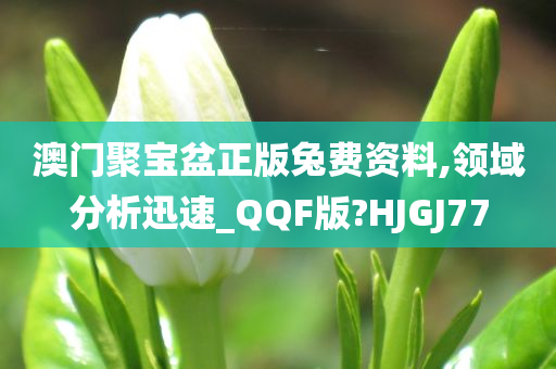 澳门聚宝盆正版兔费资料,领域分析迅速_QQF版?HJGJ77