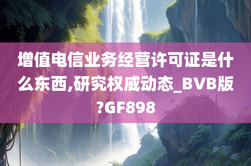 增值电信业务经营许可证是什么东西,研究权威动态_BVB版?GF898