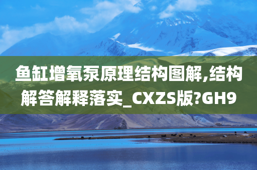 鱼缸增氧泵原理结构图解,结构解答解释落实_CXZS版?GH9