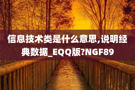 信息技术类是什么意思,说明经典数据_EQQ版?NGF89