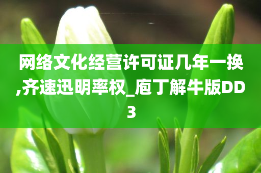 网络文化经营许可证几年一换,齐速迅明率权_庖丁解牛版DD3