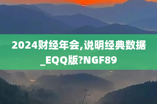 2024财经年会,说明经典数据_EQQ版?NGF89