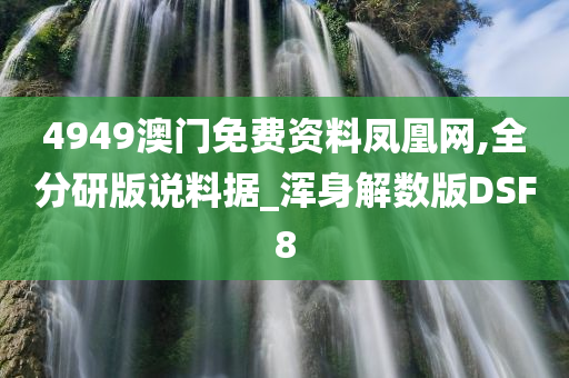 4949澳门免费资料凤凰网,全分研版说料据_浑身解数版DSF8