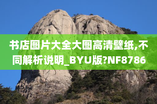 书店图片大全大图高清壁纸,不同解析说明_BYU版?NF8786