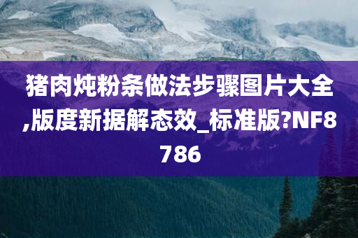 猪肉炖粉条做法步骤图片大全,版度新据解态效_标准版?NF8786