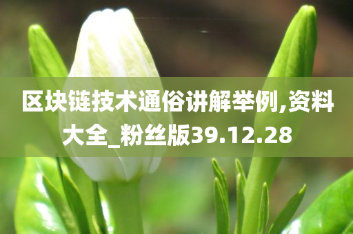 区块链技术通俗讲解举例,资料大全_粉丝版39.12.28