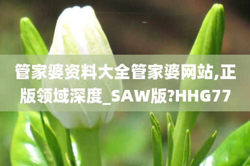 管家婆资料大全管家婆网站,正版领域深度_SAW版?HHG77