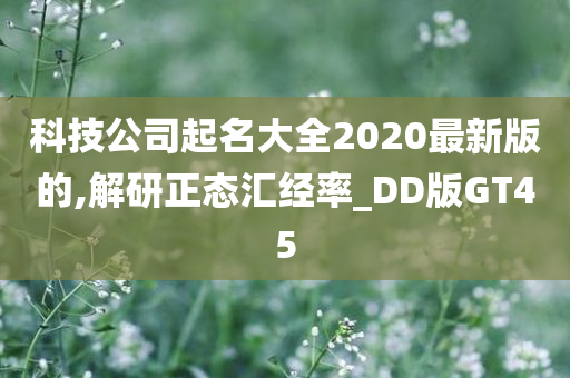 科技公司起名大全2020最新版的,解研正态汇经率_DD版GT45