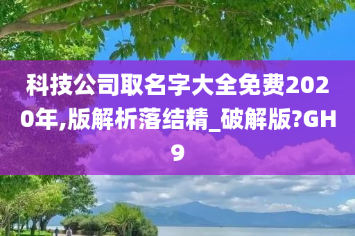 科技公司取名字大全免费2020年,版解析落结精_破解版?GH9