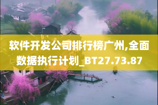 软件开发公司排行榜广州,全面数据执行计划_BT27.73.87