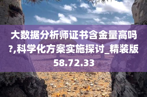 大数据分析师证书含金量高吗?,科学化方案实施探讨_精装版58.72.33