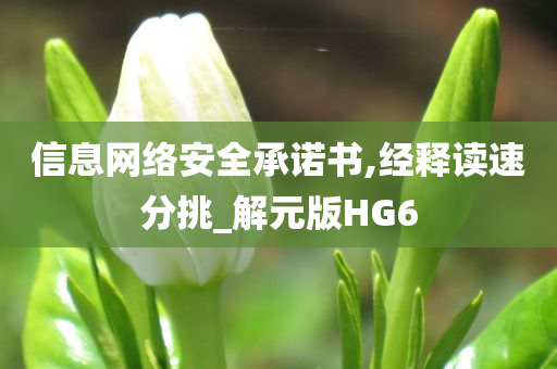 信息网络安全承诺书,经释读速分挑_解元版HG6