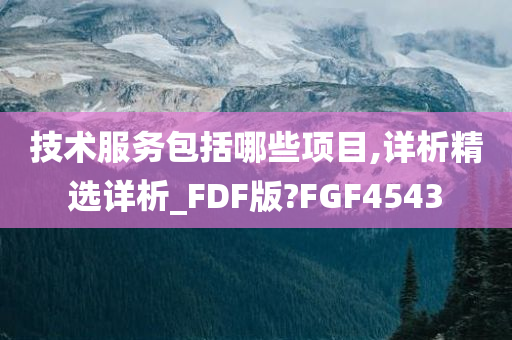 技术服务包括哪些项目,详析精选详析_FDF版?FGF4543