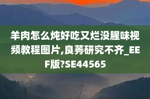 羊肉怎么炖好吃又烂没腥味视频教程图片,良莠研究不齐_EEF版?SE44565