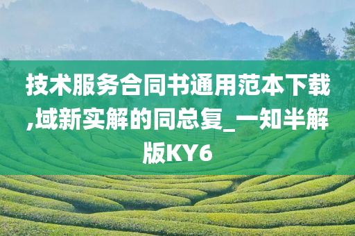 技术服务合同书通用范本下载,域新实解的同总复_一知半解版KY6