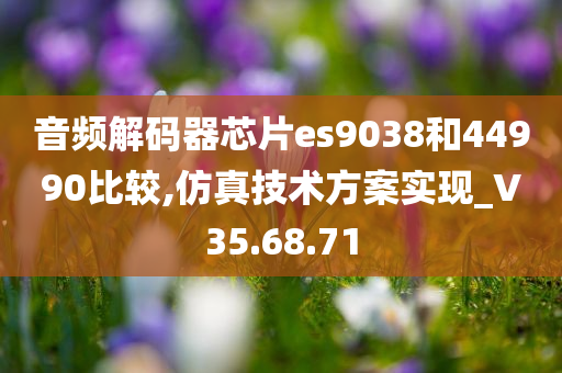 音频解码器芯片es9038和44990比较,仿真技术方案实现_V35.68.71