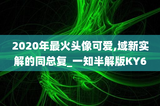 2020年最火头像可爱,域新实解的同总复_一知半解版KY6