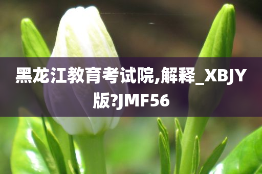 黑龙江教育考试院,解释_XBJY版?JMF56