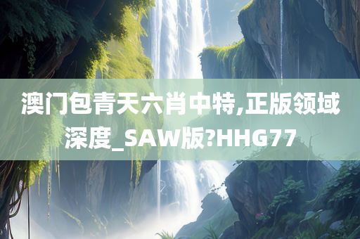 澳门包青天六肖中特,正版领域深度_SAW版?HHG77