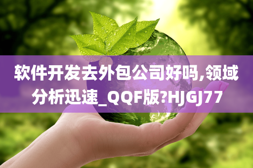 软件开发去外包公司好吗,领域分析迅速_QQF版?HJGJ77