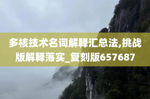 多核技术名词解释汇总法,挑战版解释落实_复刻版657687