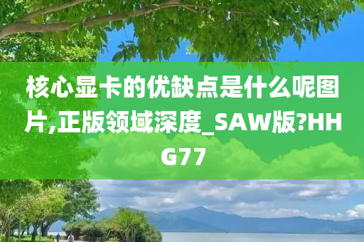 核心显卡的优缺点是什么呢图片,正版领域深度_SAW版?HHG77