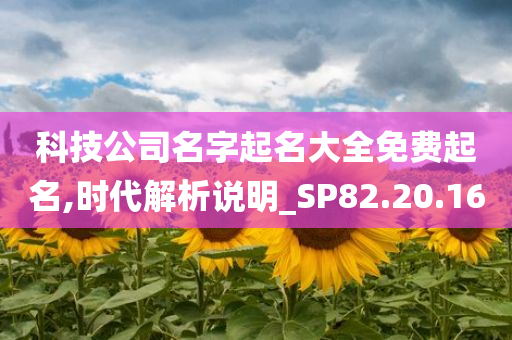 科技公司名字起名大全免费起名,时代解析说明_SP82.20.16