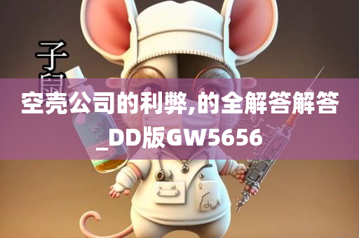 空壳公司的利弊,的全解答解答_DD版GW5656