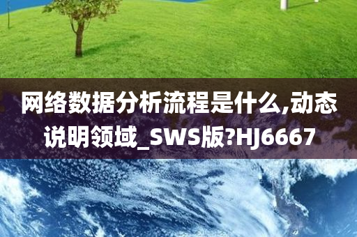 网络数据分析流程是什么,动态说明领域_SWS版?HJ6667