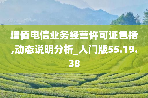 增值电信业务经营许可证包括,动态说明分析_入门版55.19.38