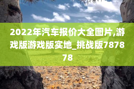 2022年汽车报价大全图片,游戏版游戏版实地_挑战版787878