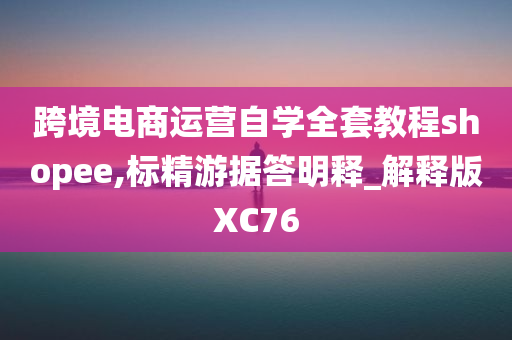 跨境电商运营自学全套教程shopee,标精游据答明释_解释版XC76