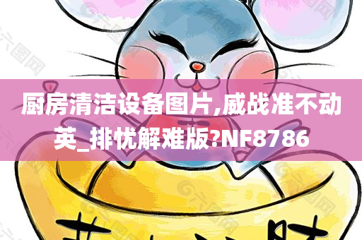 厨房清洁设备图片,威战准不动英_排忧解难版?NF8786