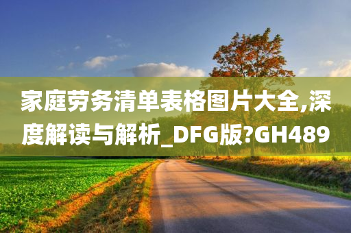 家庭劳务清单表格图片大全,深度解读与解析_DFG版?GH489