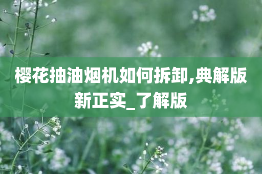 樱花抽油烟机如何拆卸,典解版新正实_了解版