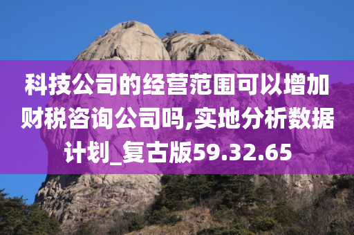 科技公司的经营范围可以增加财税咨询公司吗,实地分析数据计划_复古版59.32.65