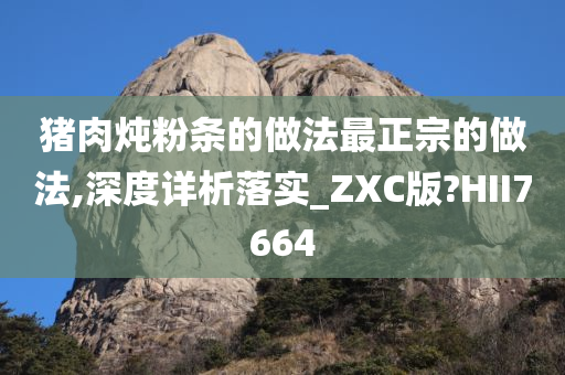 猪肉炖粉条的做法最正宗的做法,深度详析落实_ZXC版?HII7664