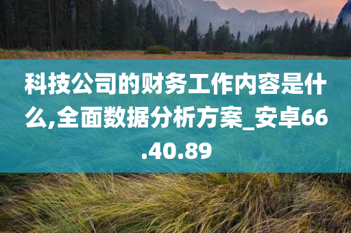 科技公司的财务工作内容是什么,全面数据分析方案_安卓66.40.89