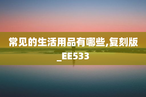 常见的生活用品有哪些,复刻版_EE533