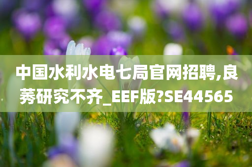 中国水利水电七局官网招聘,良莠研究不齐_EEF版?SE44565