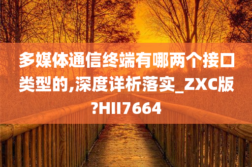 多媒体通信终端有哪两个接口类型的,深度详析落实_ZXC版?HII7664