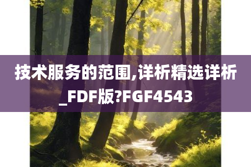 技术服务的范围,详析精选详析_FDF版?FGF4543